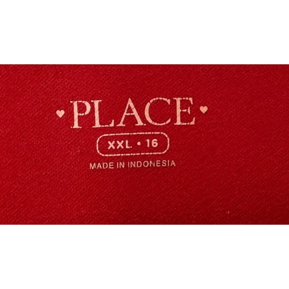 The Children's Place◇Girl's Red Fit & Flare Dress With‎ Mesh Details◇Size XXL 16
